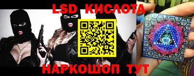 винт Сланцы