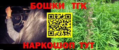 винт Сланцы