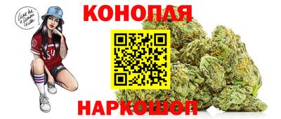 винт Сланцы