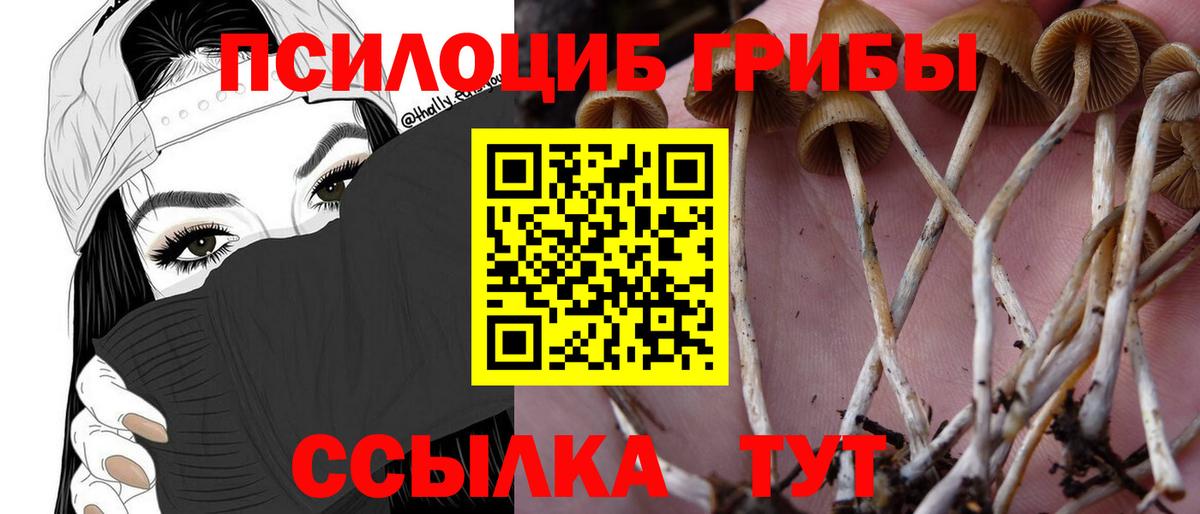 закладки  Псилоцибиновые грибы ЛСД  Вход с VPN  Новошахтинск 